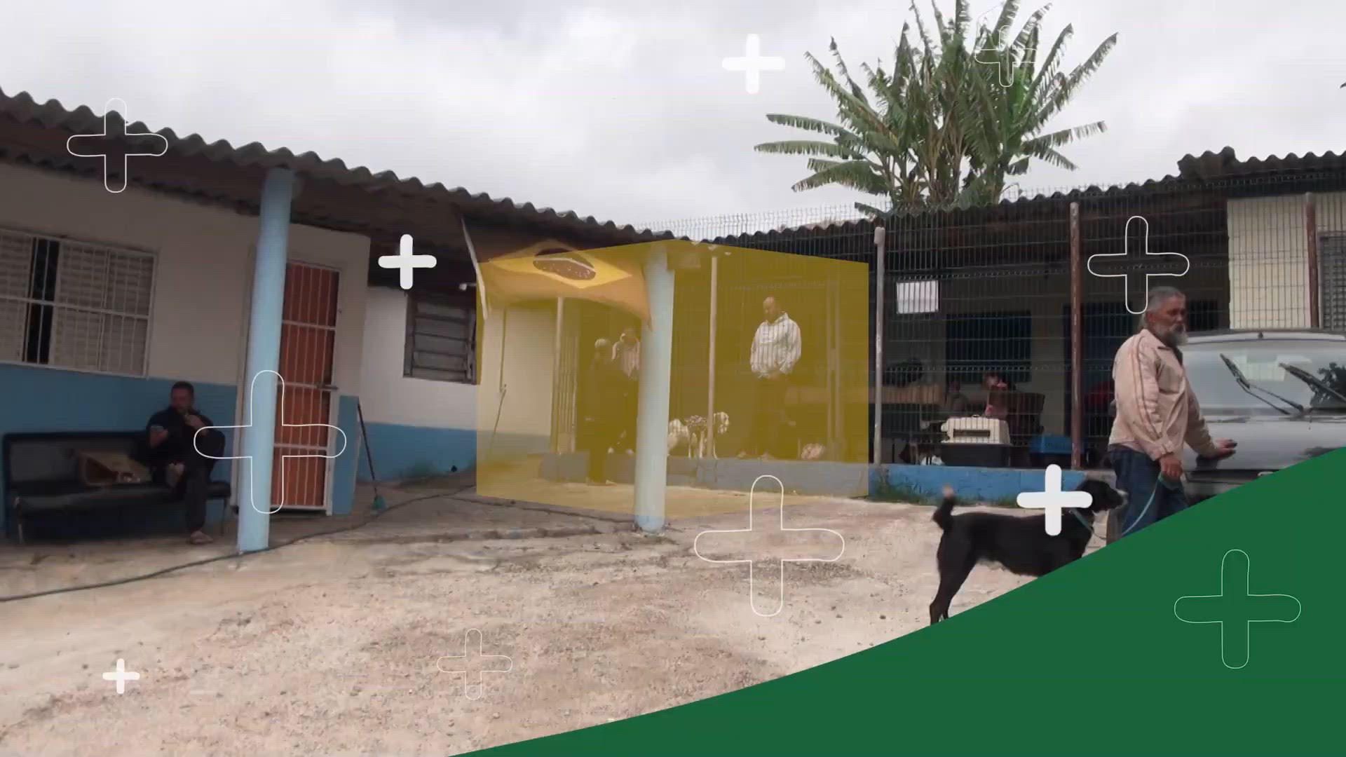 'Video thumbnail for Cachorro Com Tumor: Uma História de Superação e Cuidado Veterinário 🐾❤️'