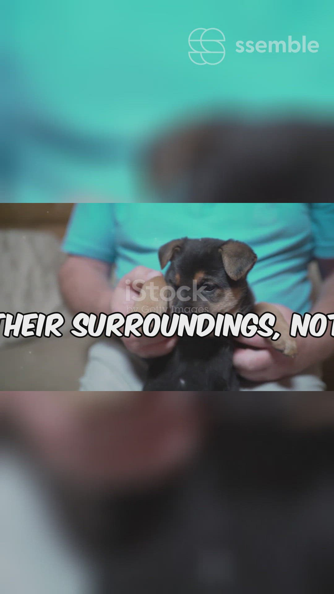 'Video thumbnail for Puppy Eyes Open '