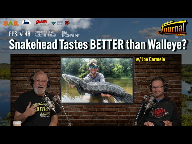 'Video thumbnail for Snakehead Tastes Better Than Walleye? | Outdoor Journal Radion ep. 148'