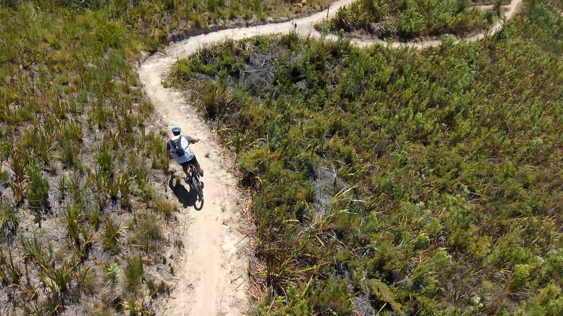 Video thumbnail for Andrew-Plasir