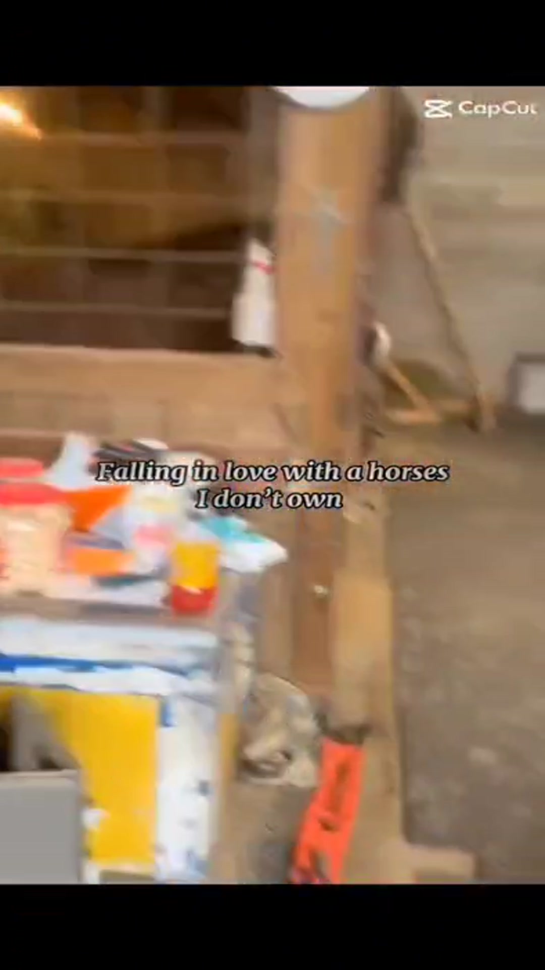 Video thumbnail for Skyler Morrow