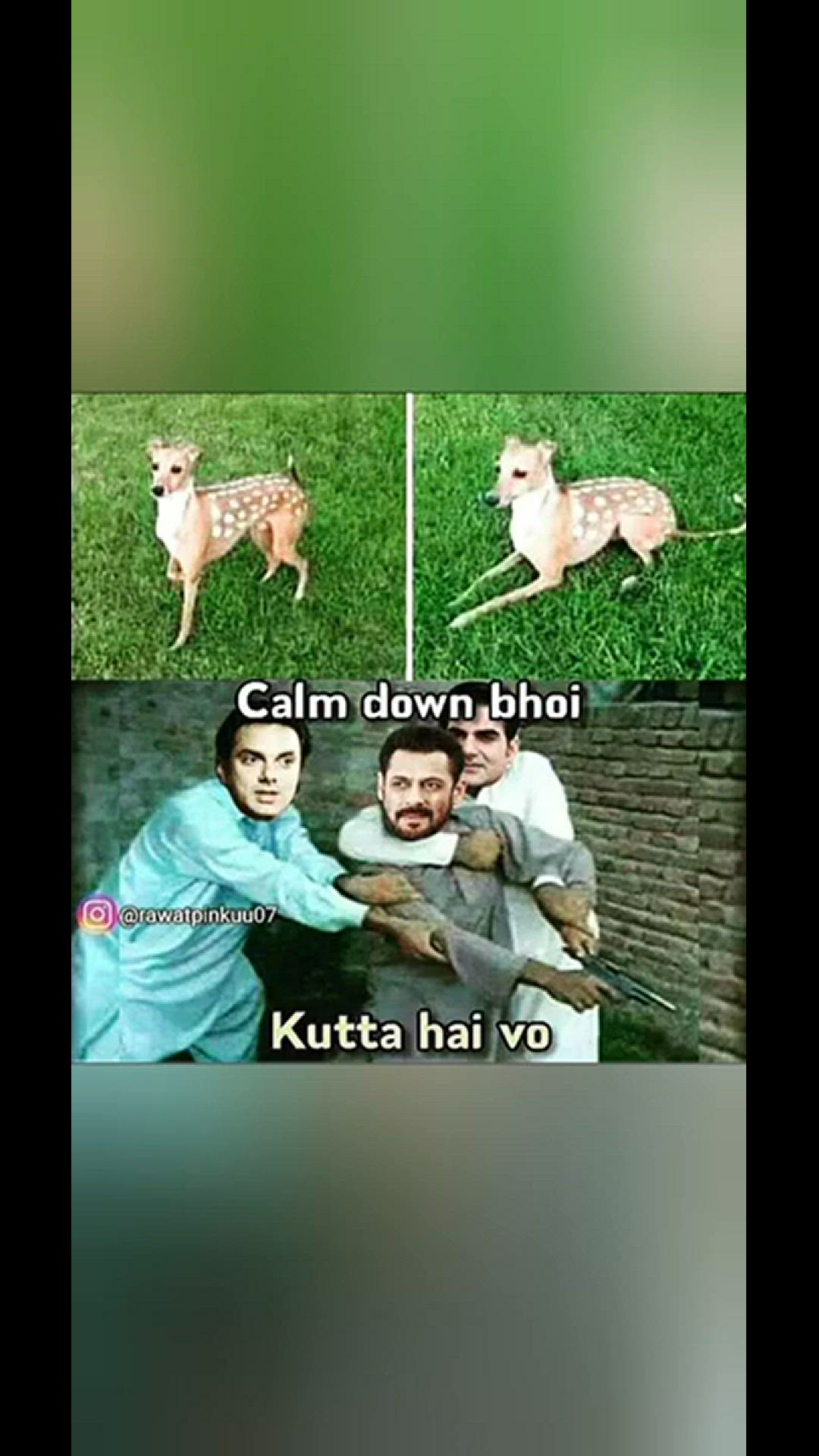 'Video thumbnail for funny memes that will make you laugh #507 || legend memes ||  funny relatable memes 😂 #clean #shorts'