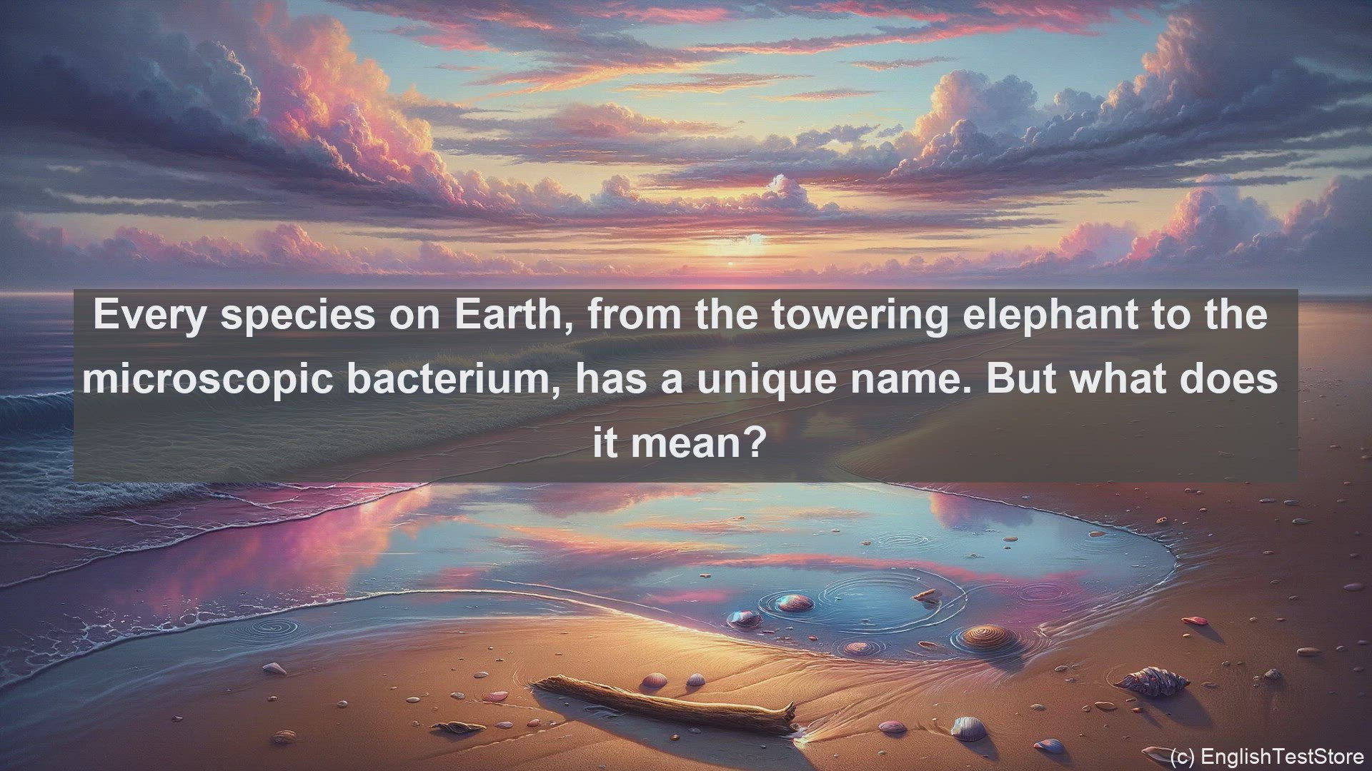 'Video thumbnail for Binomial nomenclature in science  definition and examples'
