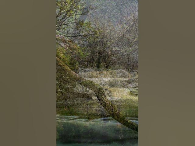 Video thumbnail for music relaxing#akubukanuntukmu #scottbuckley #music #relaxing #relax #relaxingmusic