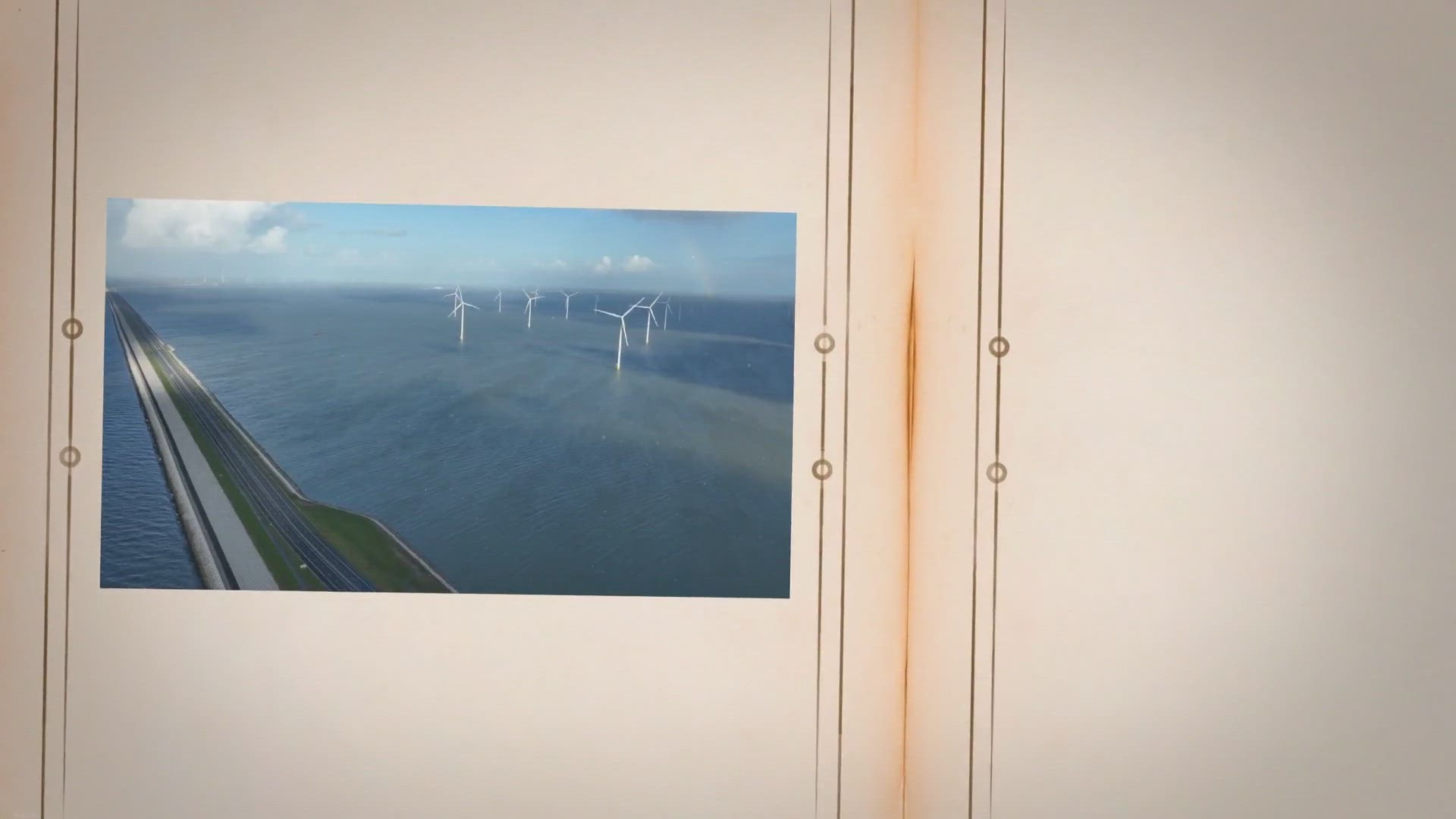 Video thumbnail for 6 manieren om je spinplant met gele bladeren te helpen