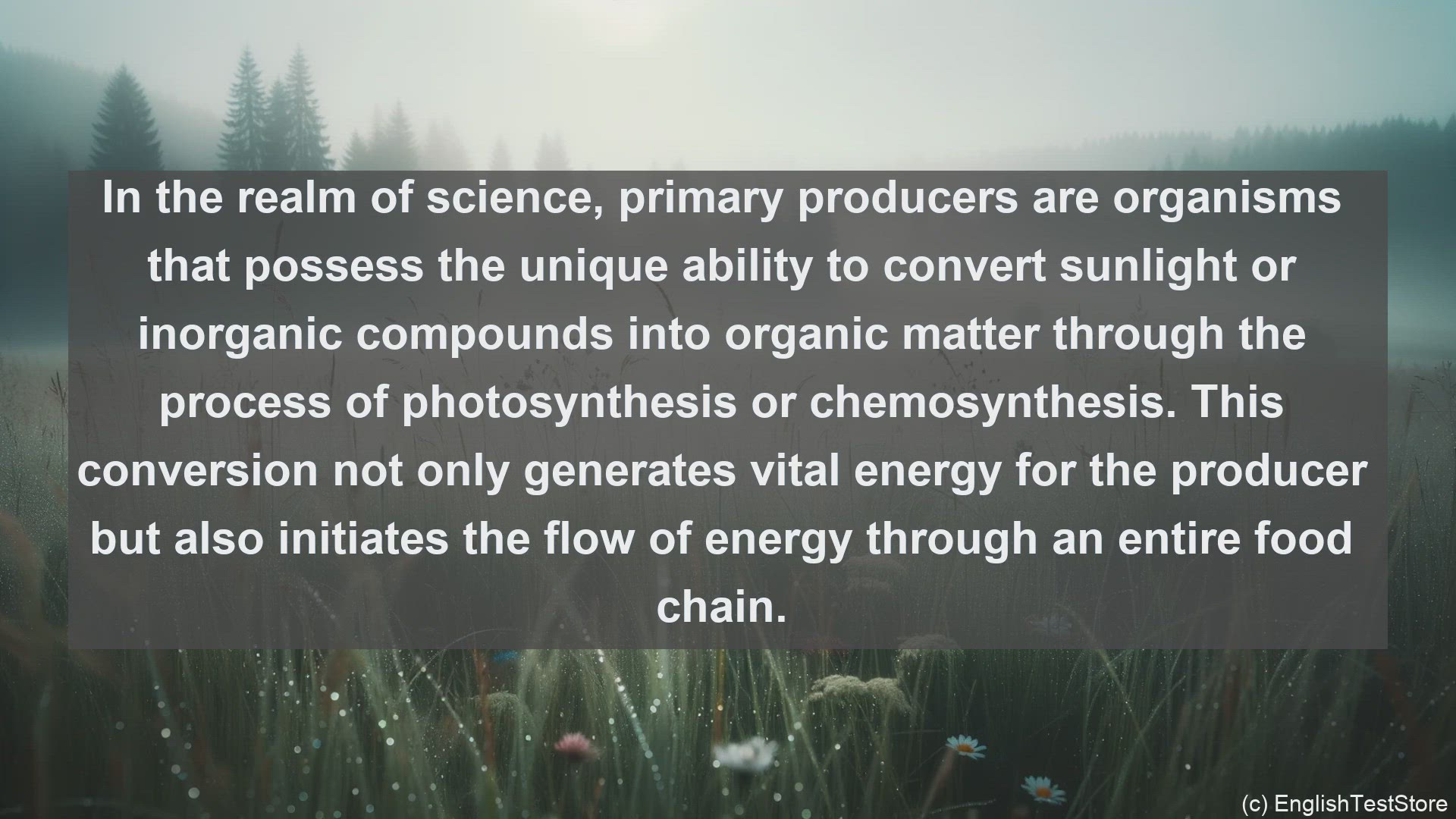 'Video thumbnail for Primary producers in science  definition and examples'