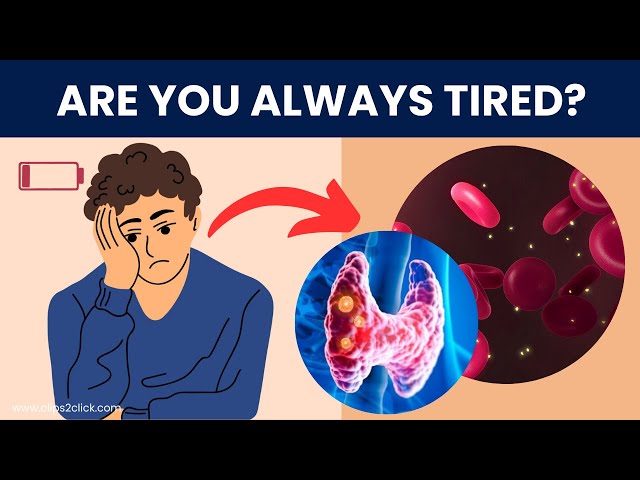 'Video thumbnail for Feeling Tired All the Time? Top Causes of Chronic Fatigue Explained'