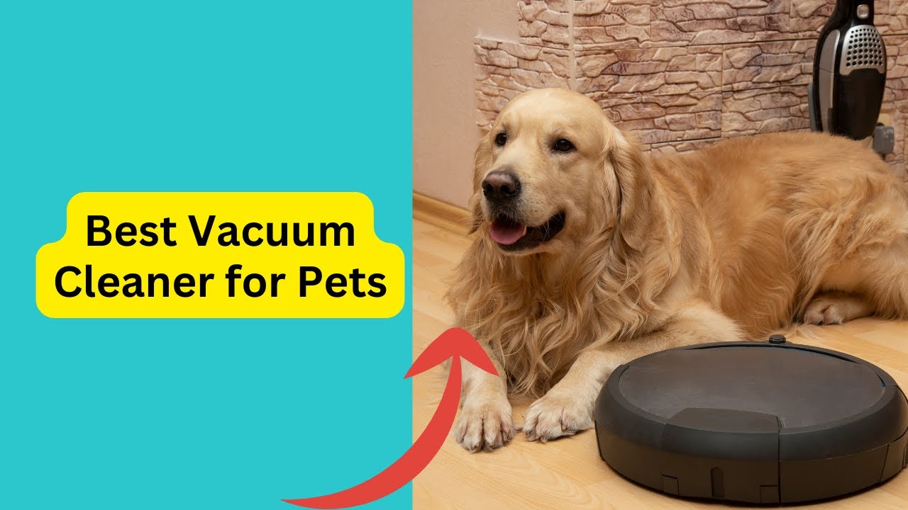 'Video thumbnail for Best Vacuum Cleaner for Pets'