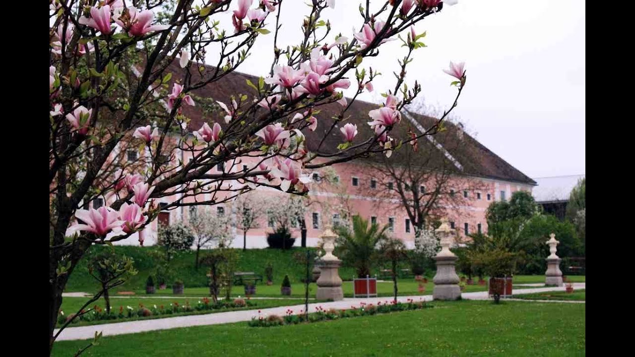 'Video thumbnail for Stift Seitenstetten im Mostviertel'