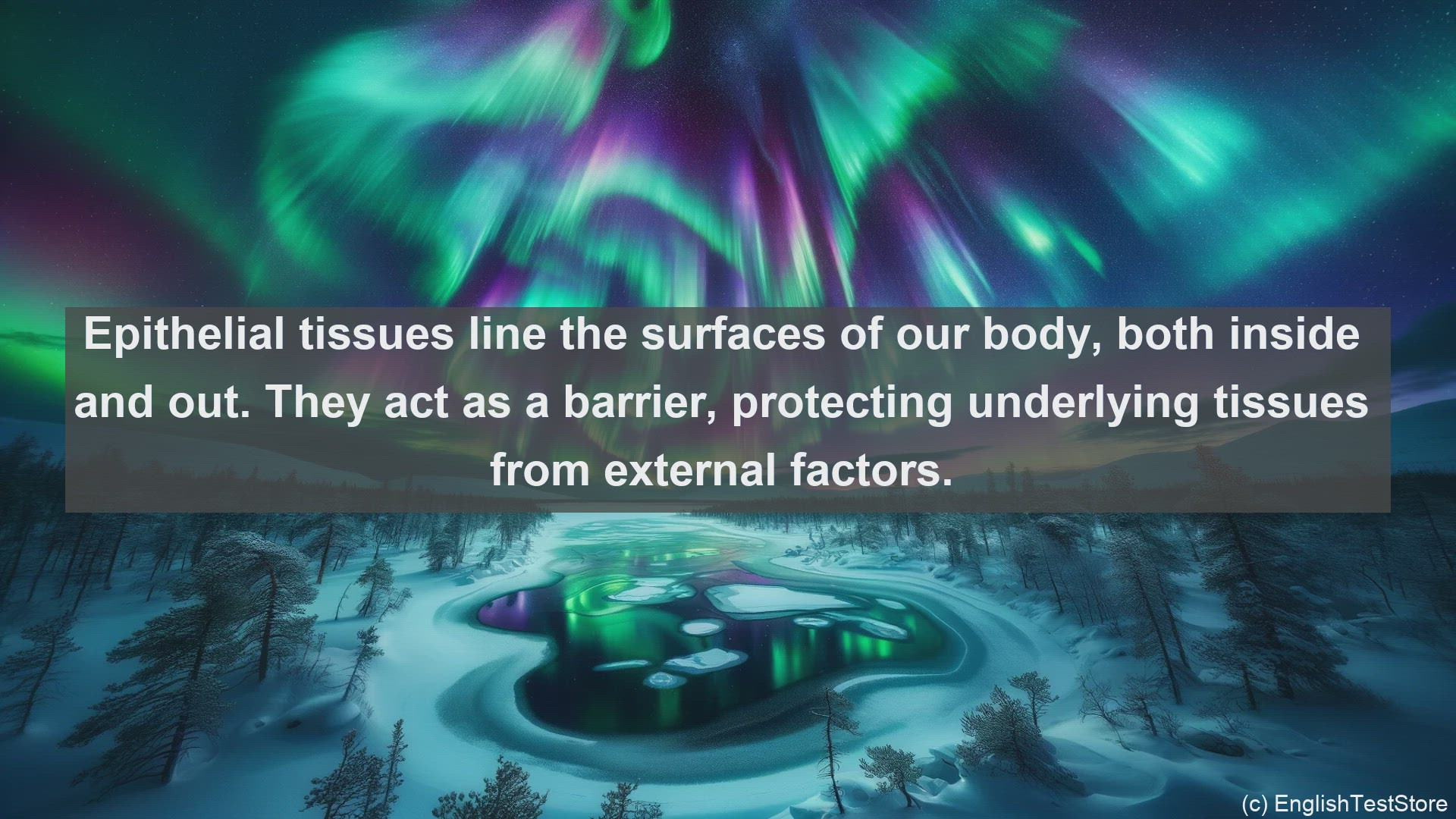 'Video thumbnail for Primary tissues in science  definition and examples'