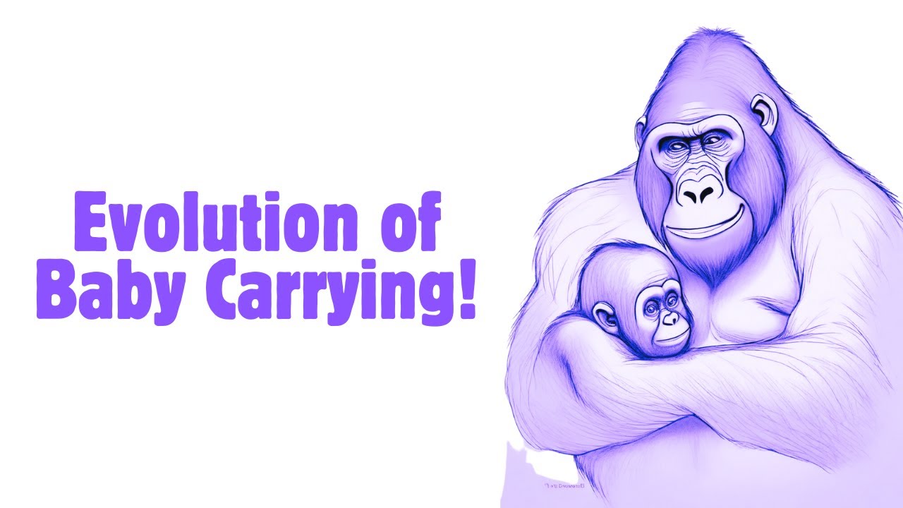 Video thumbnail for The Fascinating Evolution of Baby Carrying