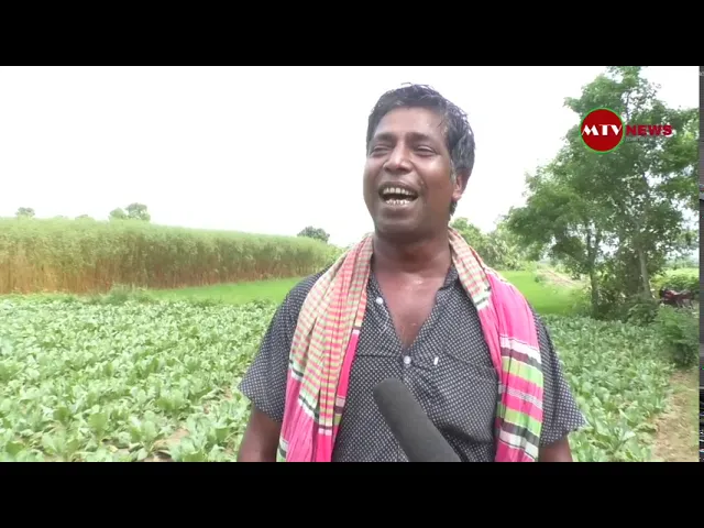 Video thumbnail for এক কৃষকের সবজি নিয়ে অসাধারণ গান | Meherpur TV