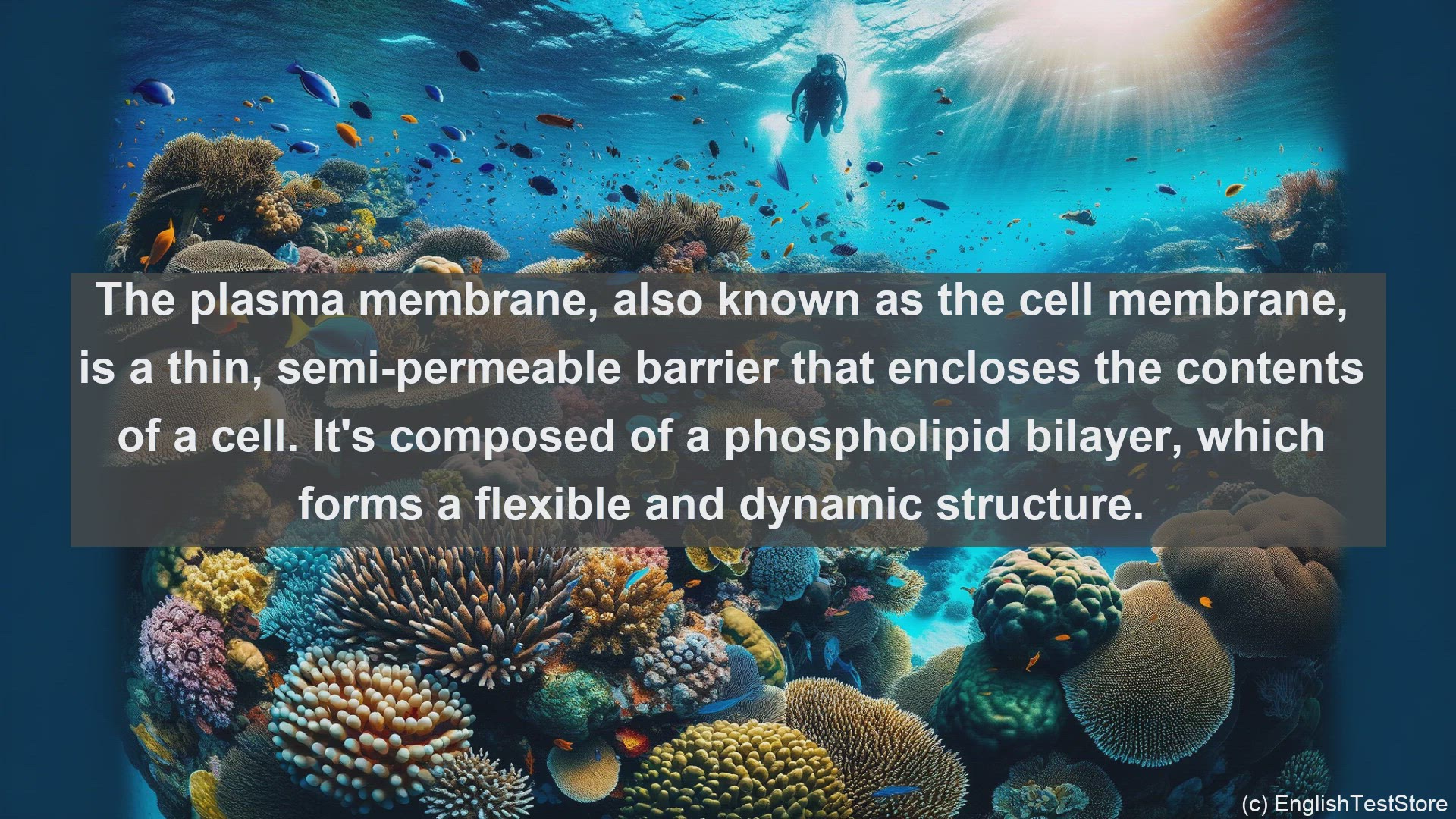 'Video thumbnail for Plasma membrane in science  definition and examples'