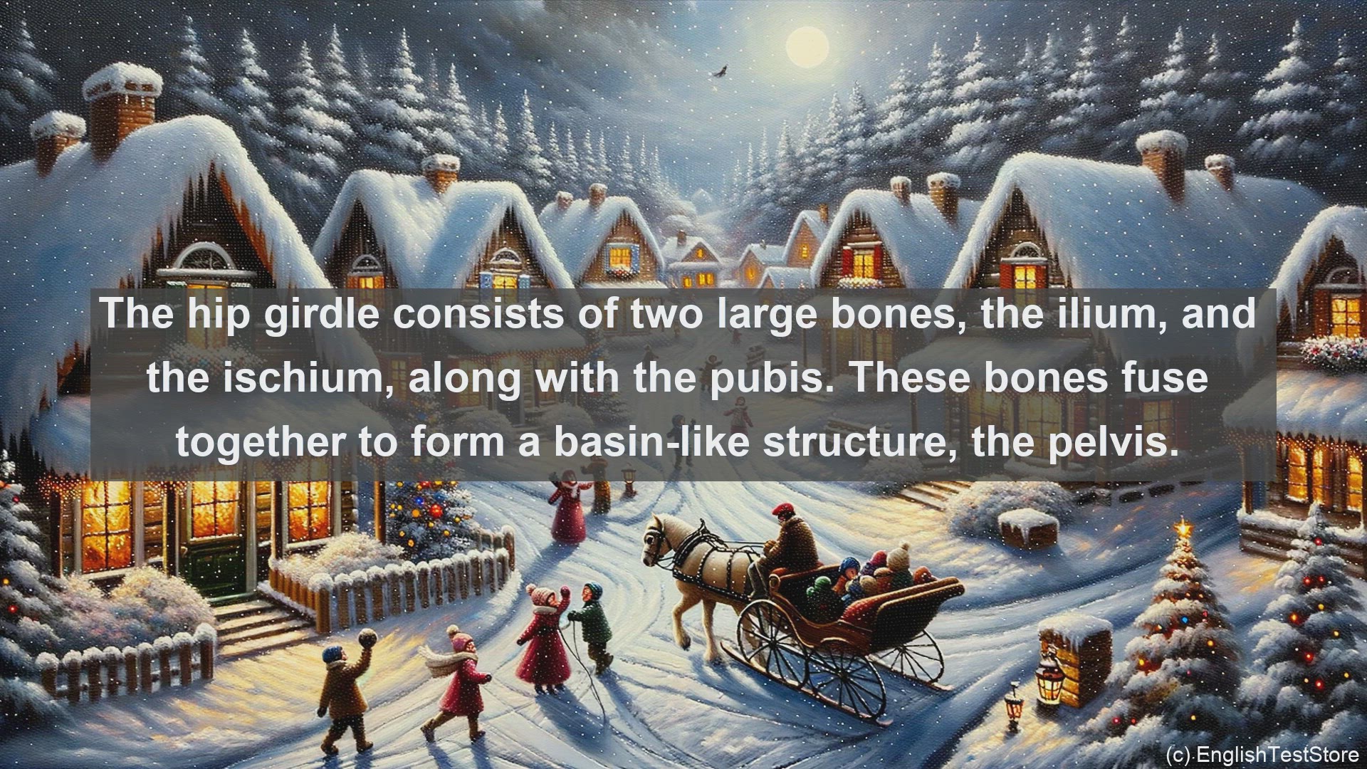 'Video thumbnail for Hip girdle in science  definition and examples'