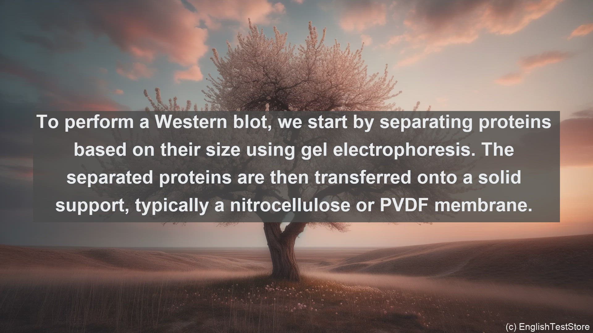 'Video thumbnail for Western blotting in science  definition and examples'
