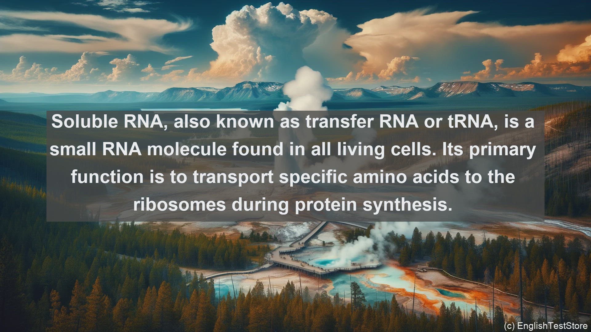 'Video thumbnail for Soluble rna in science  definition and examples'