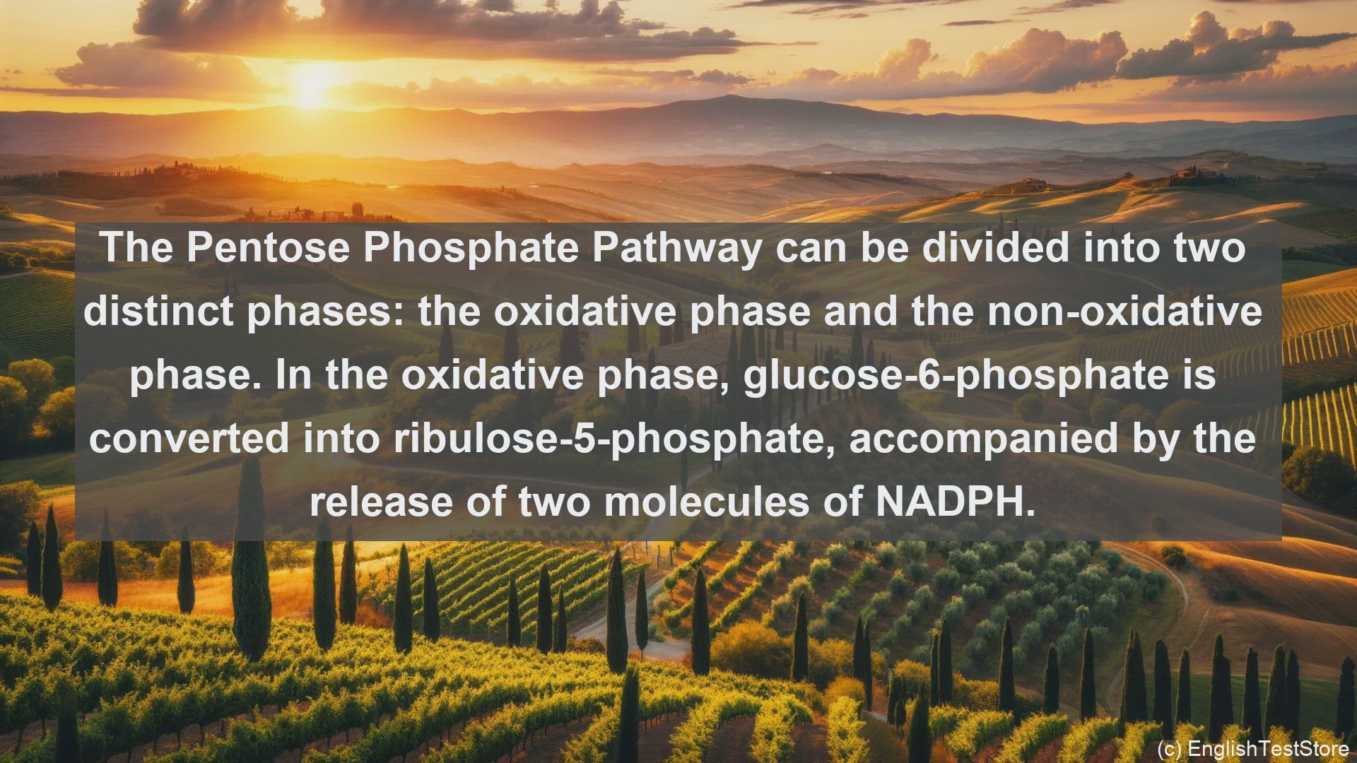 'Video thumbnail for Pentose phosphate pathway in science  definition and examples'