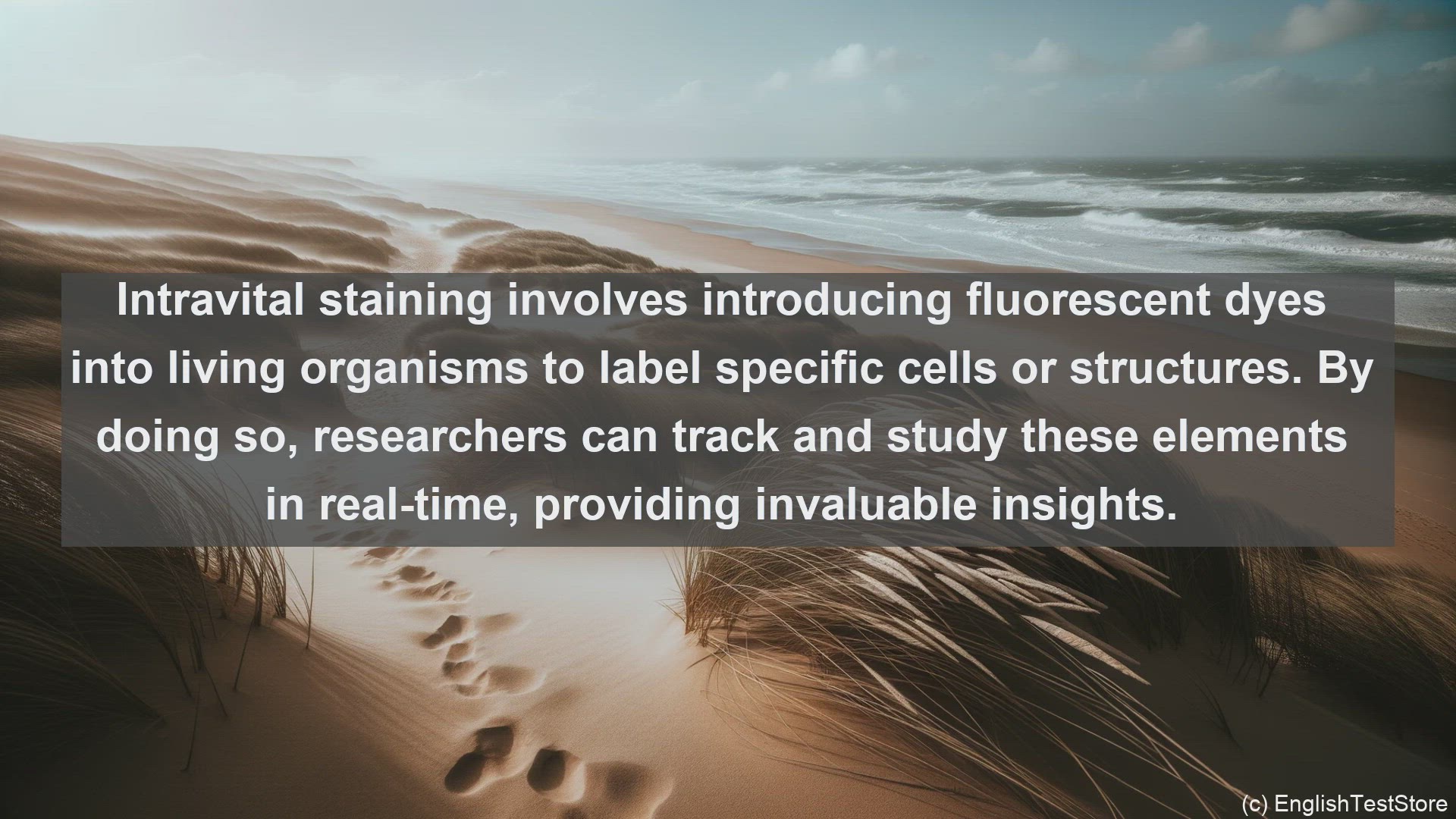 'Video thumbnail for Intravital staining in science  definition and examples'