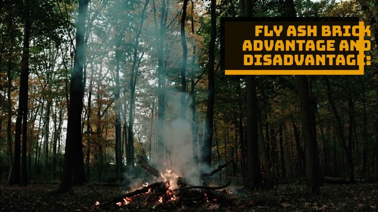 Video thumbnail for Eco Friendly Fly Ash Bricks