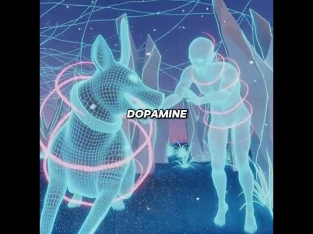 Video thumbnail for Have you ever wondered why your dog acts like it's the best day