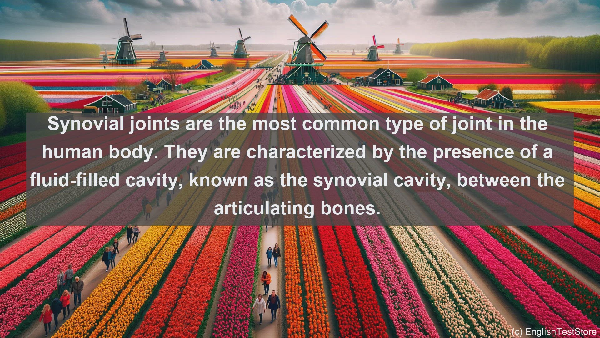 'Video thumbnail for Synovial joints in science  definition and examples'
