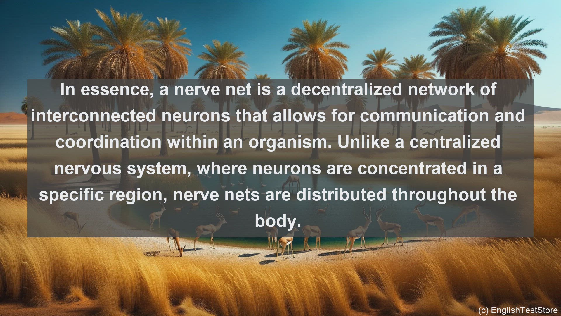 'Video thumbnail for Nerve net in science  definition and examples'