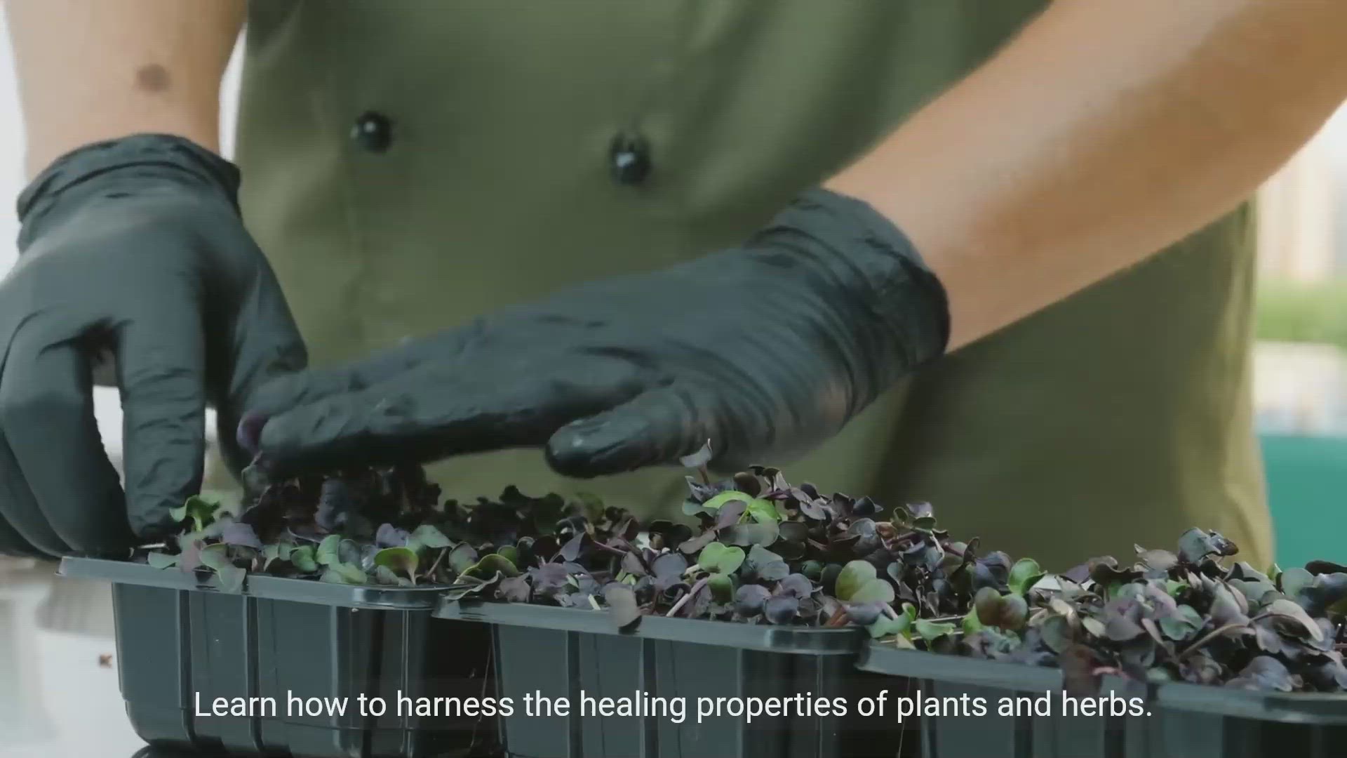 'Video thumbnail for Discover the Power of Herbal Remedies and Natural Medications'