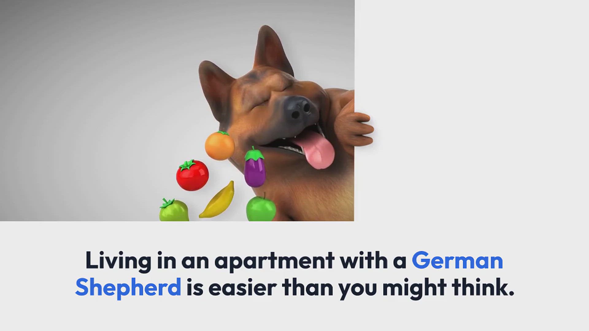 Video thumbnail for Should my German Shepherd be required to reside in an apartment?