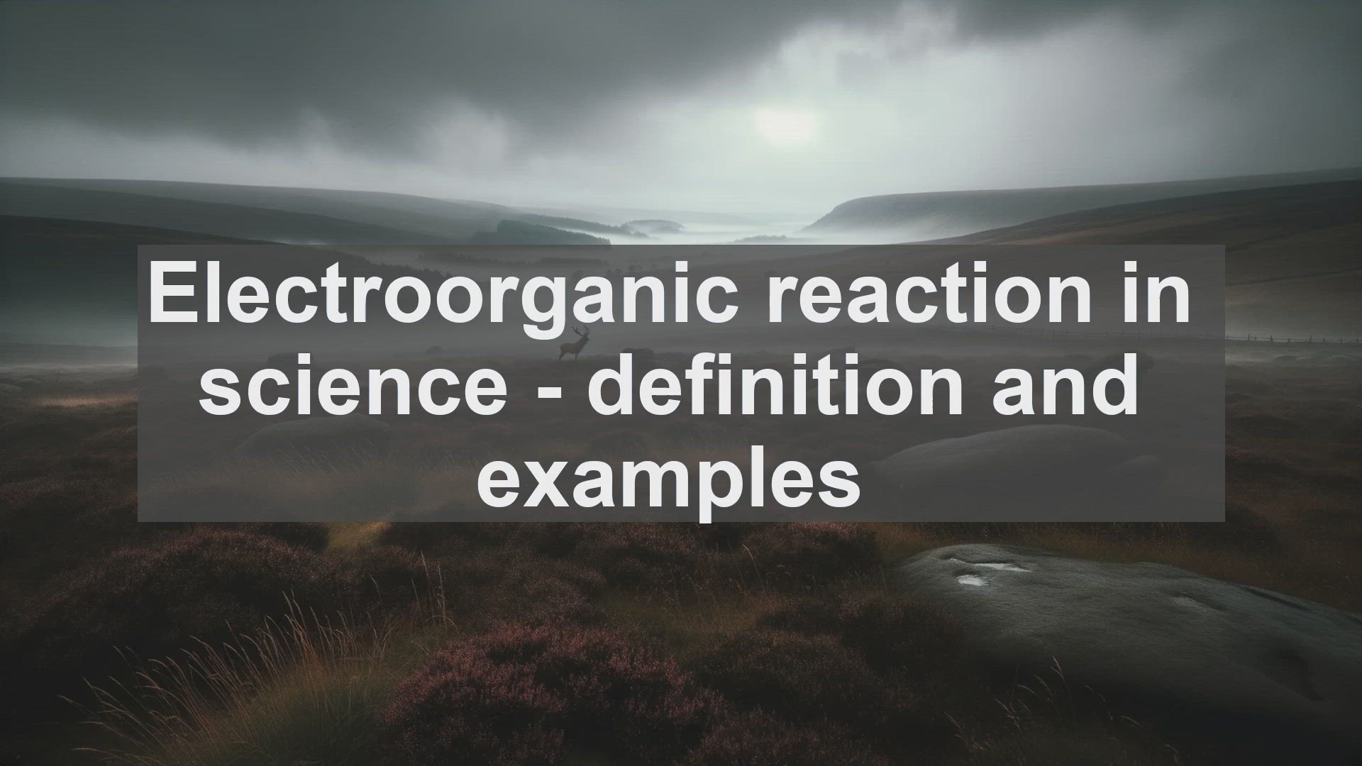 'Video thumbnail for Electroorganic reaction in science  definition and examples'