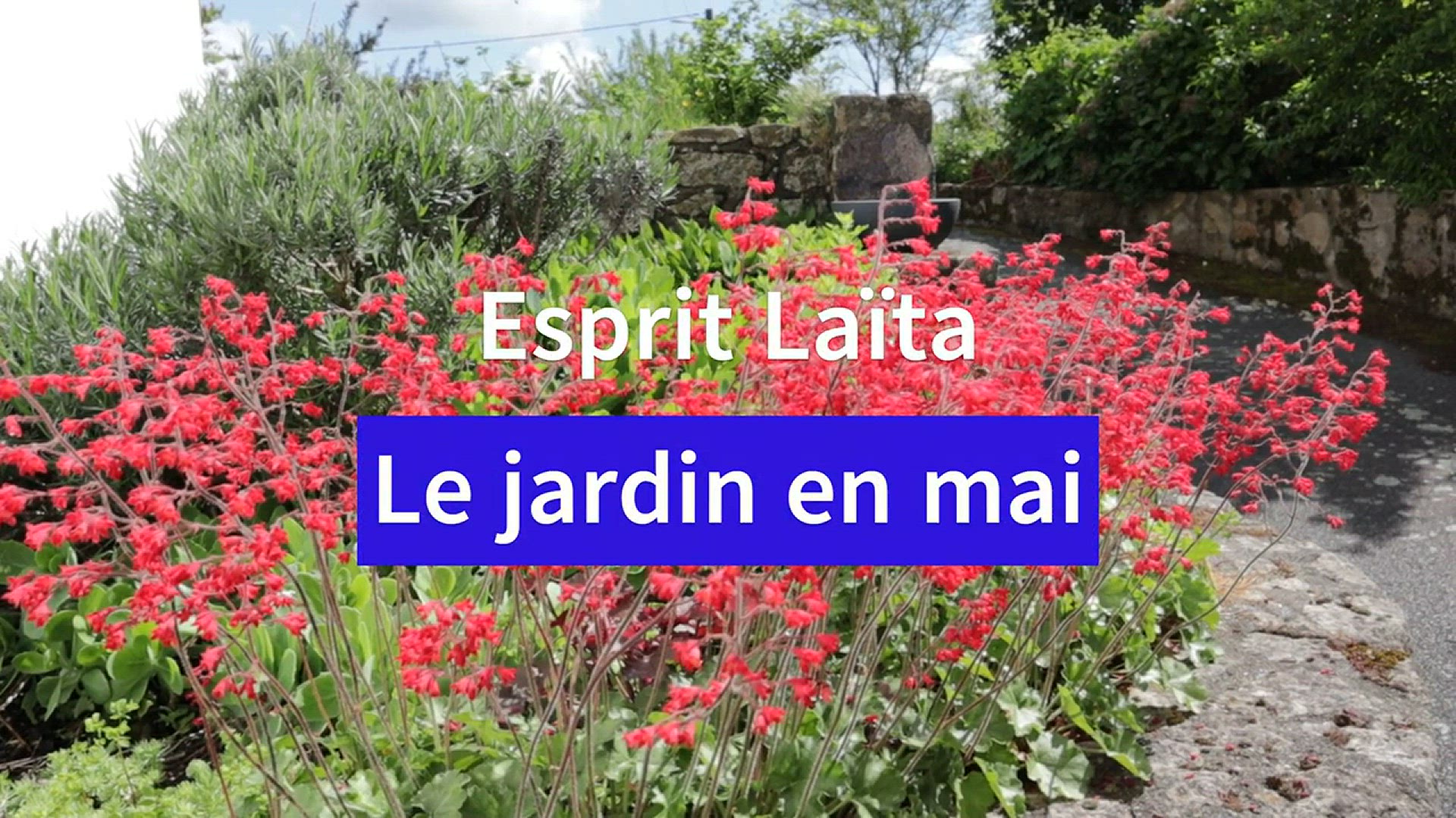 Video thumbnail for Le jardin en mai