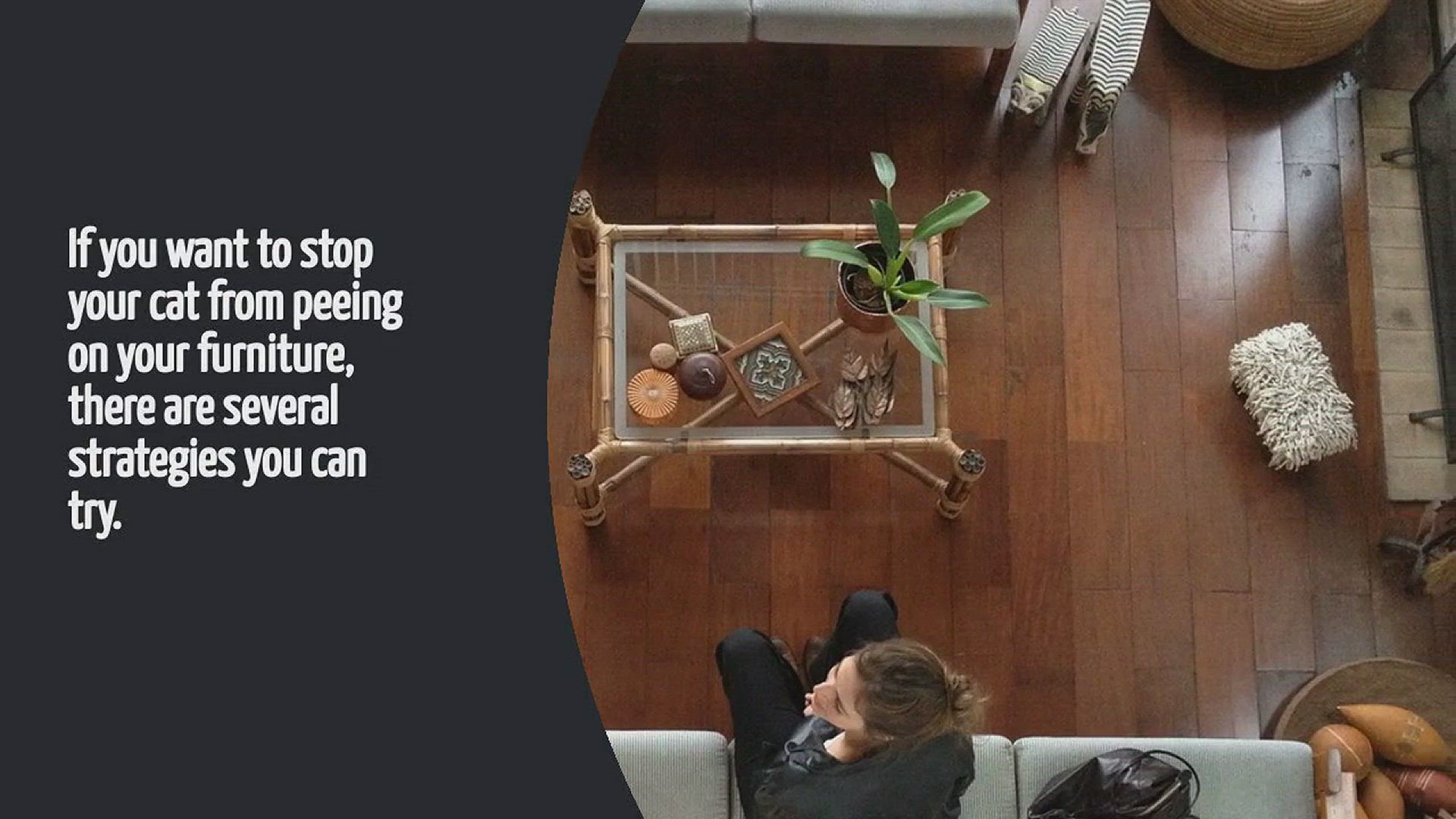 Video thumbnail for How To Stop Cat From Peeing On Furniture