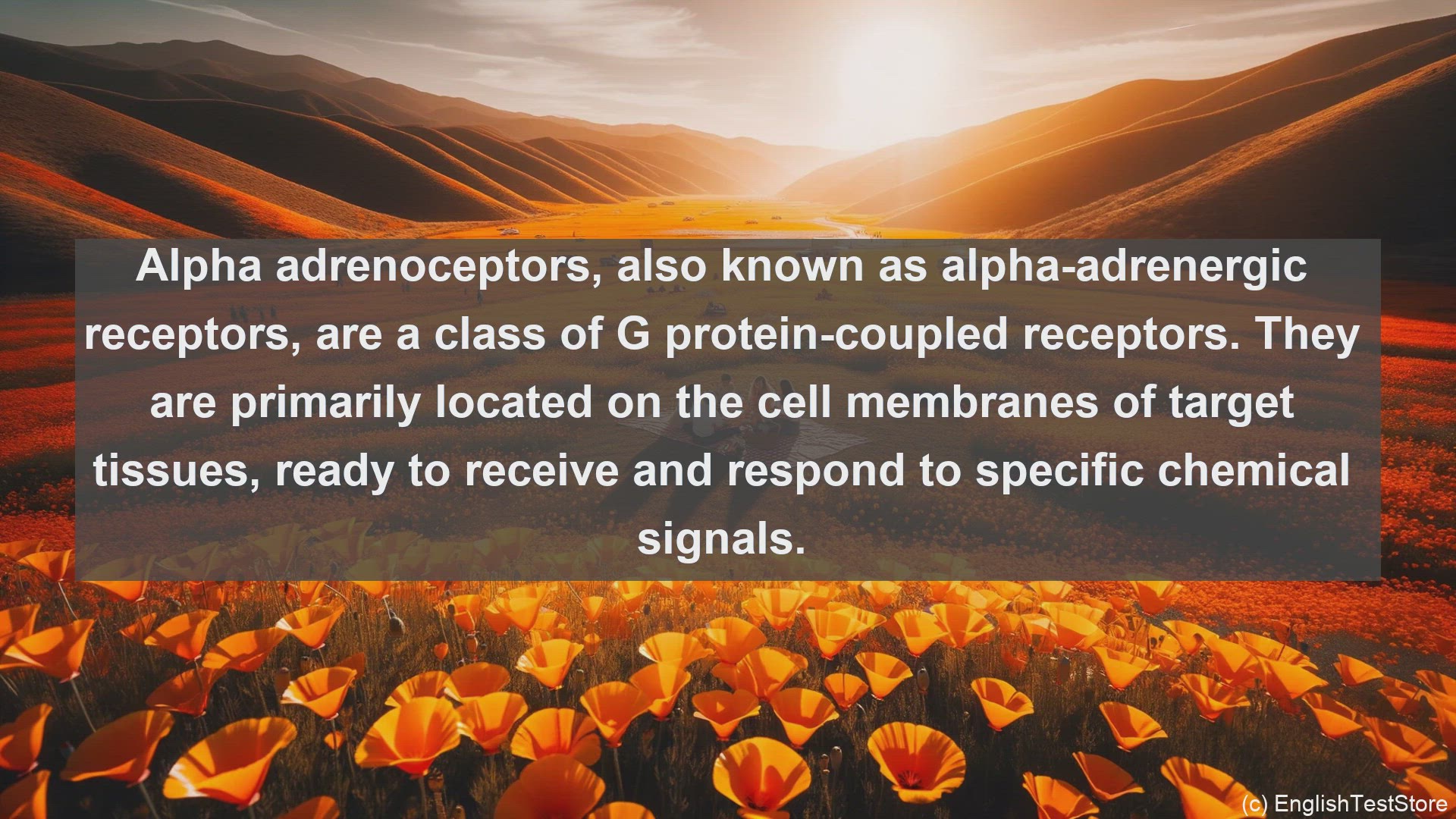'Video thumbnail for Alpha adrenoceptors in science  definition and examples'