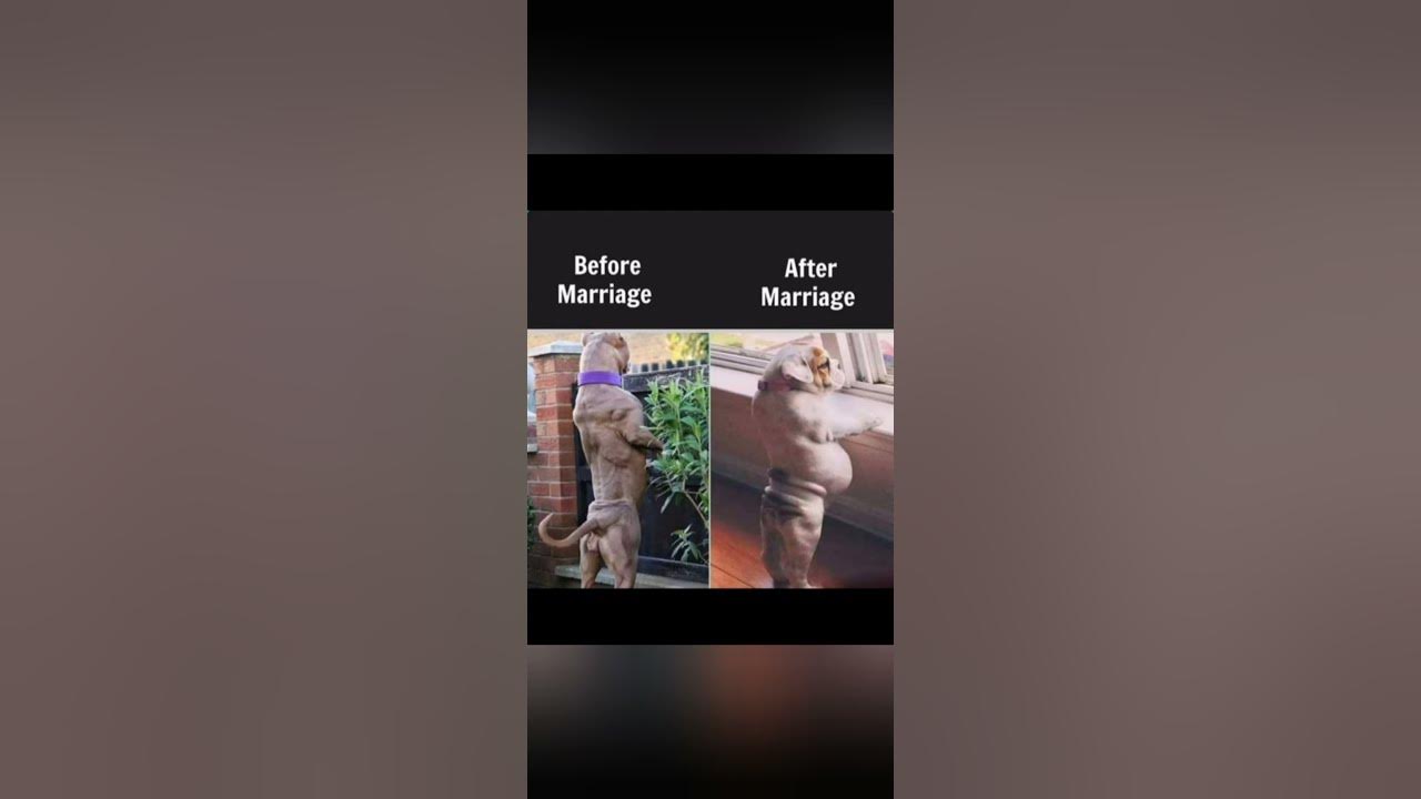'Video thumbnail for Memes only Legends will find funny,op memes | Relatable memes | #115 #shorts #memes #anonymous #meme'