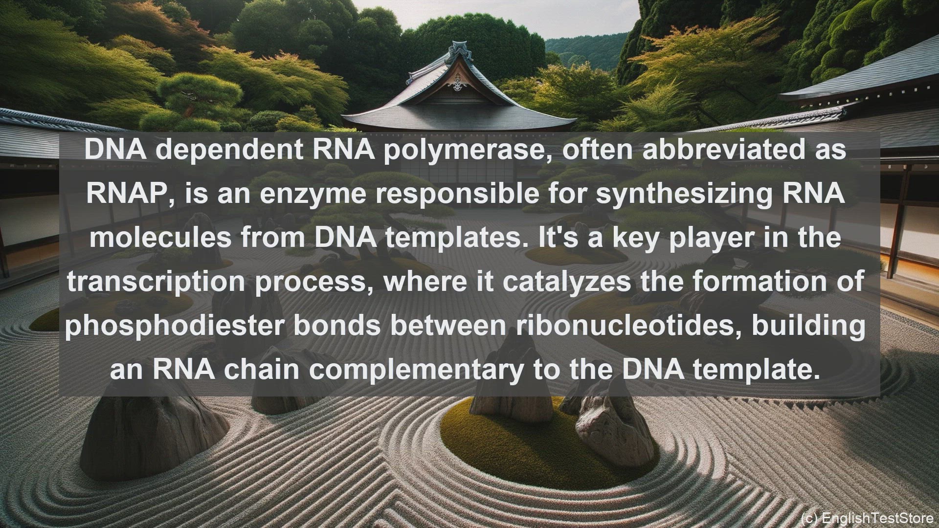 'Video thumbnail for Dna dependent rna polymerase in science  definition and examples'