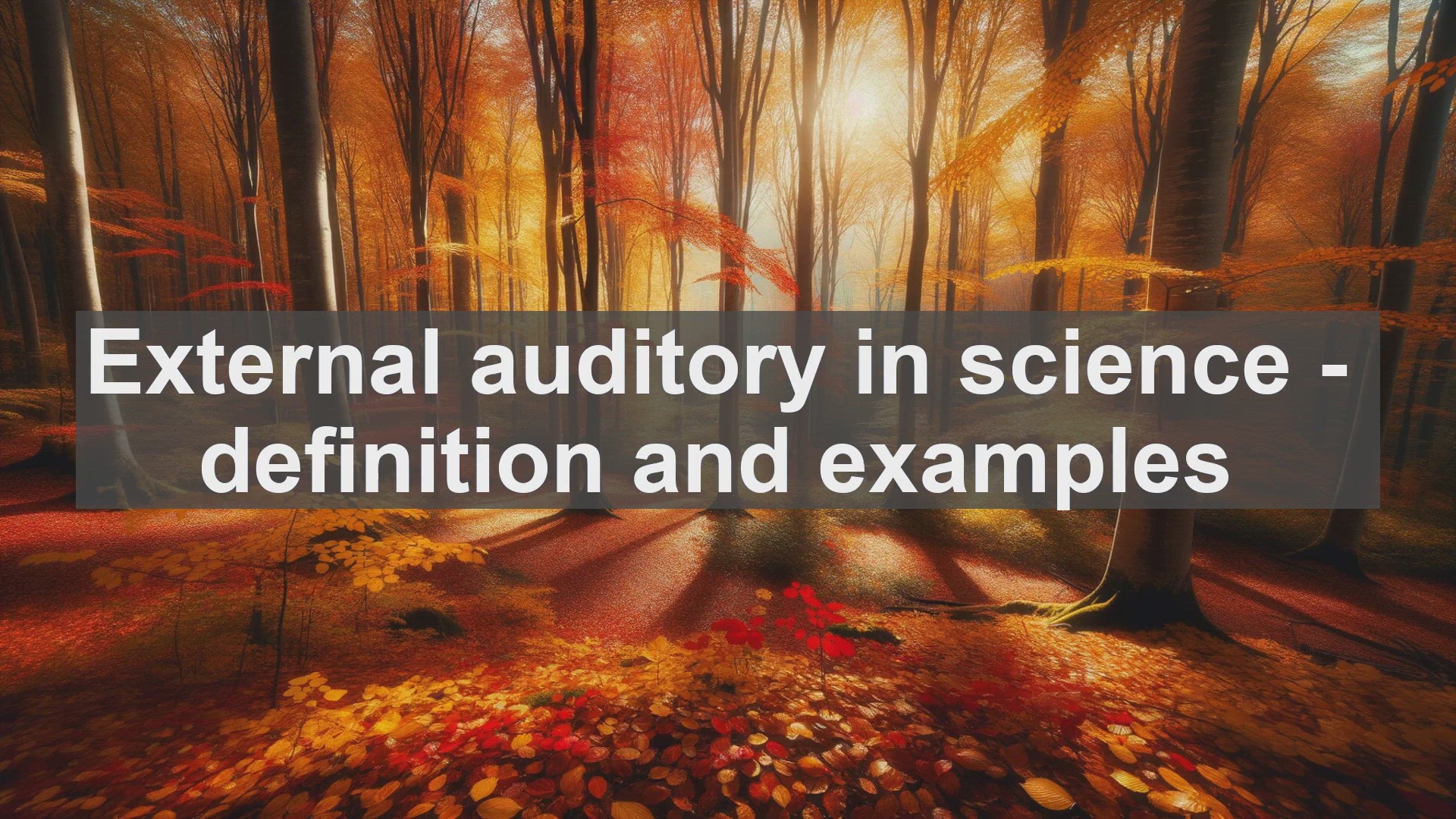 'Video thumbnail for External auditory in science  definition and examples'