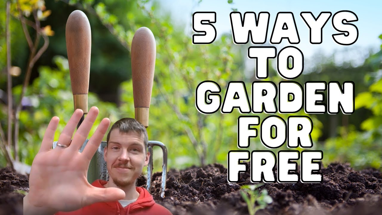 Video thumbnail for Gardening on a Shoestring: 5 Essential Tips for a Lush Garden with Zero Budget