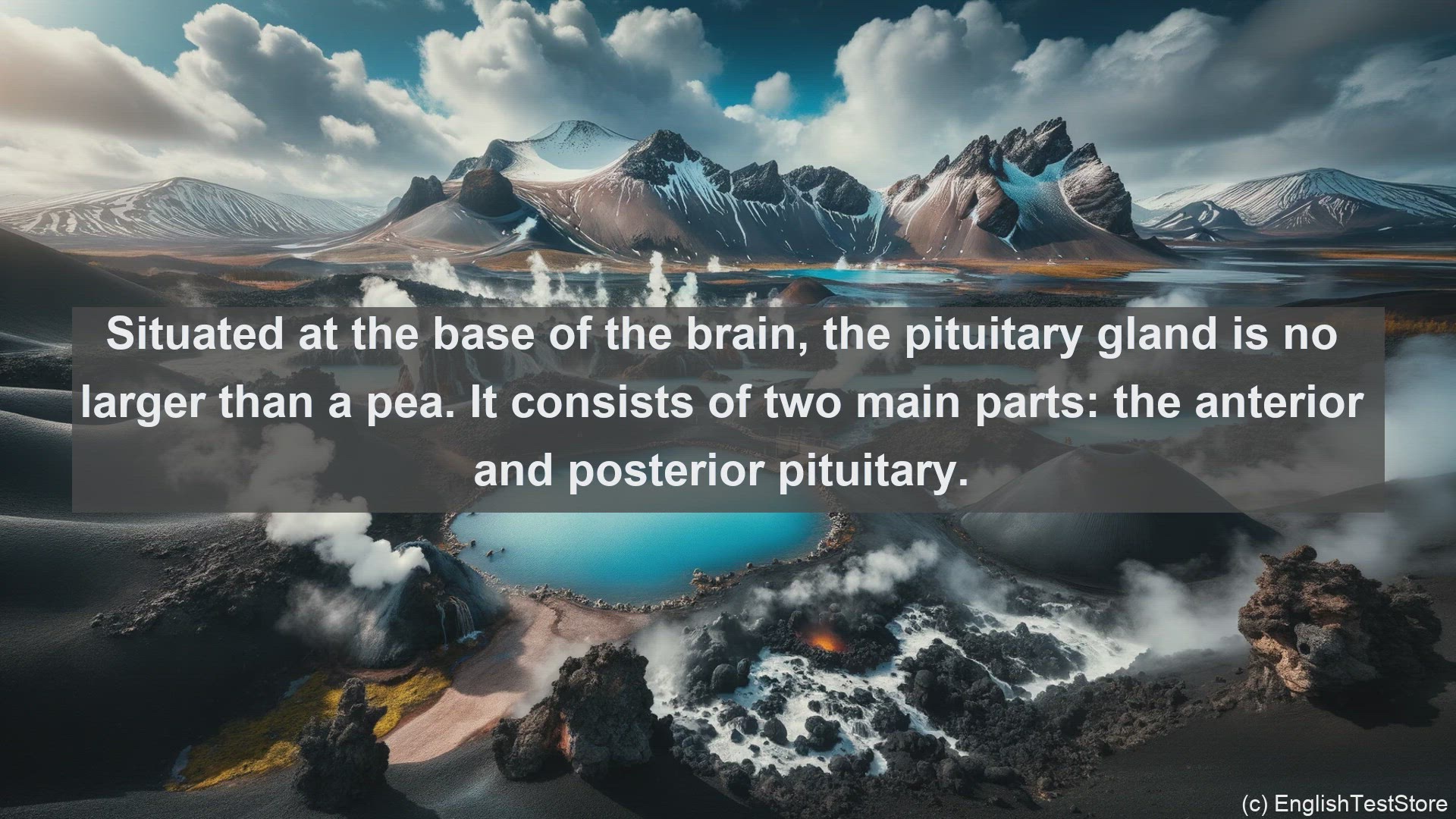 'Video thumbnail for Pituitary gland in science  definition and examples'