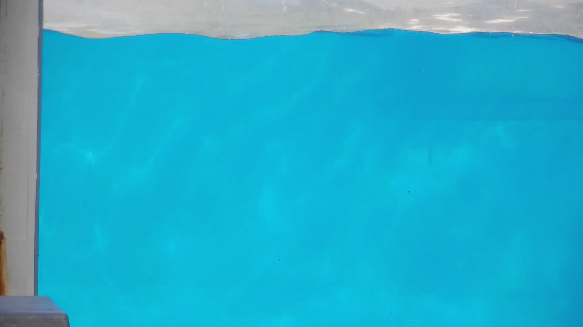 Video thumbnail for How Big of a Fish Tank Can I Have Upstairs?