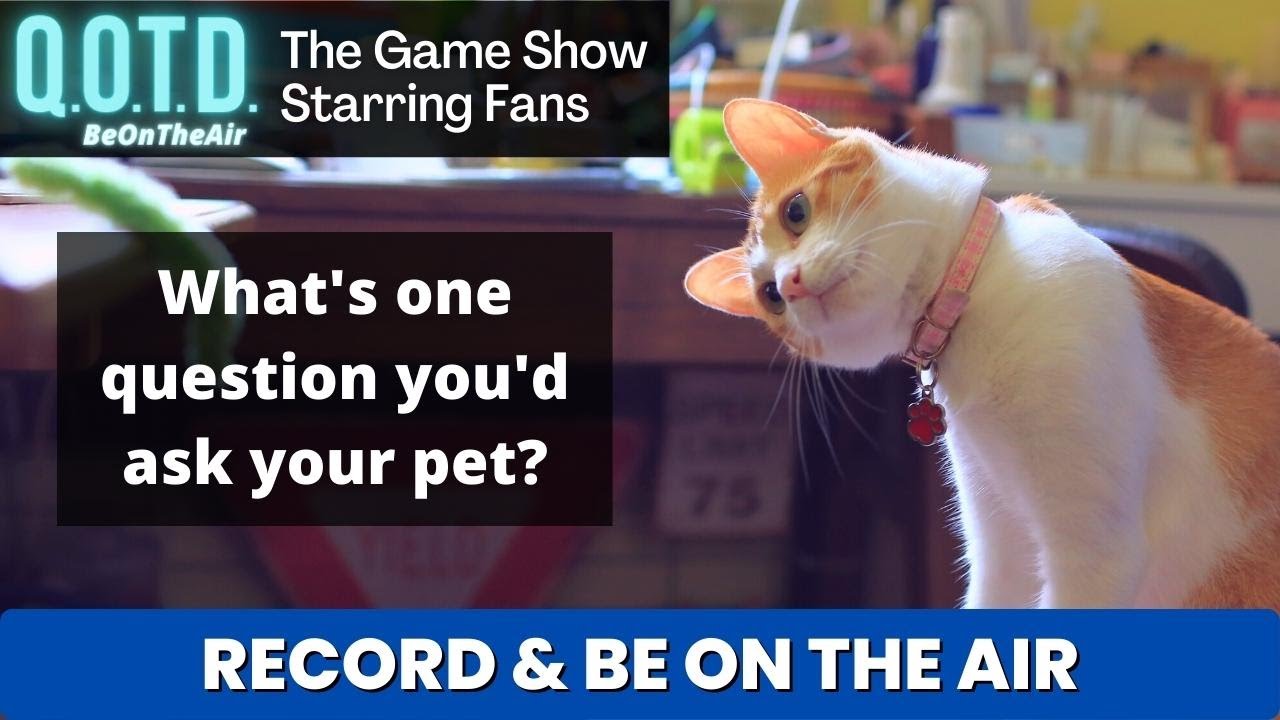 Playlist thumbnail for QOTD #00061: Interview Your Pet!