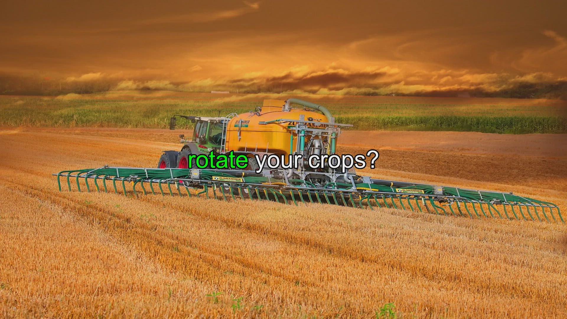 Video thumbnail for Crop Rotation: How Often Should You Rotate Crops in Your Garden or Farm?