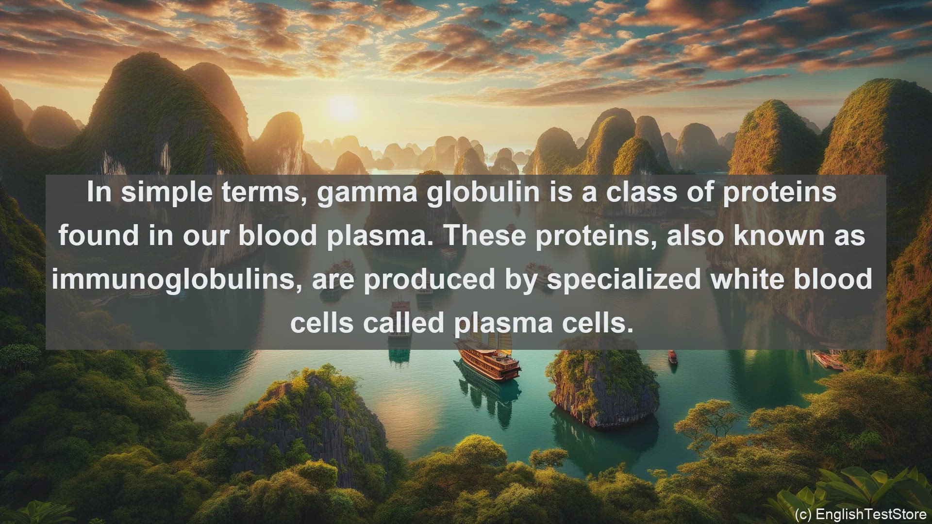 'Video thumbnail for Gamma globulin in science  definition and examples'