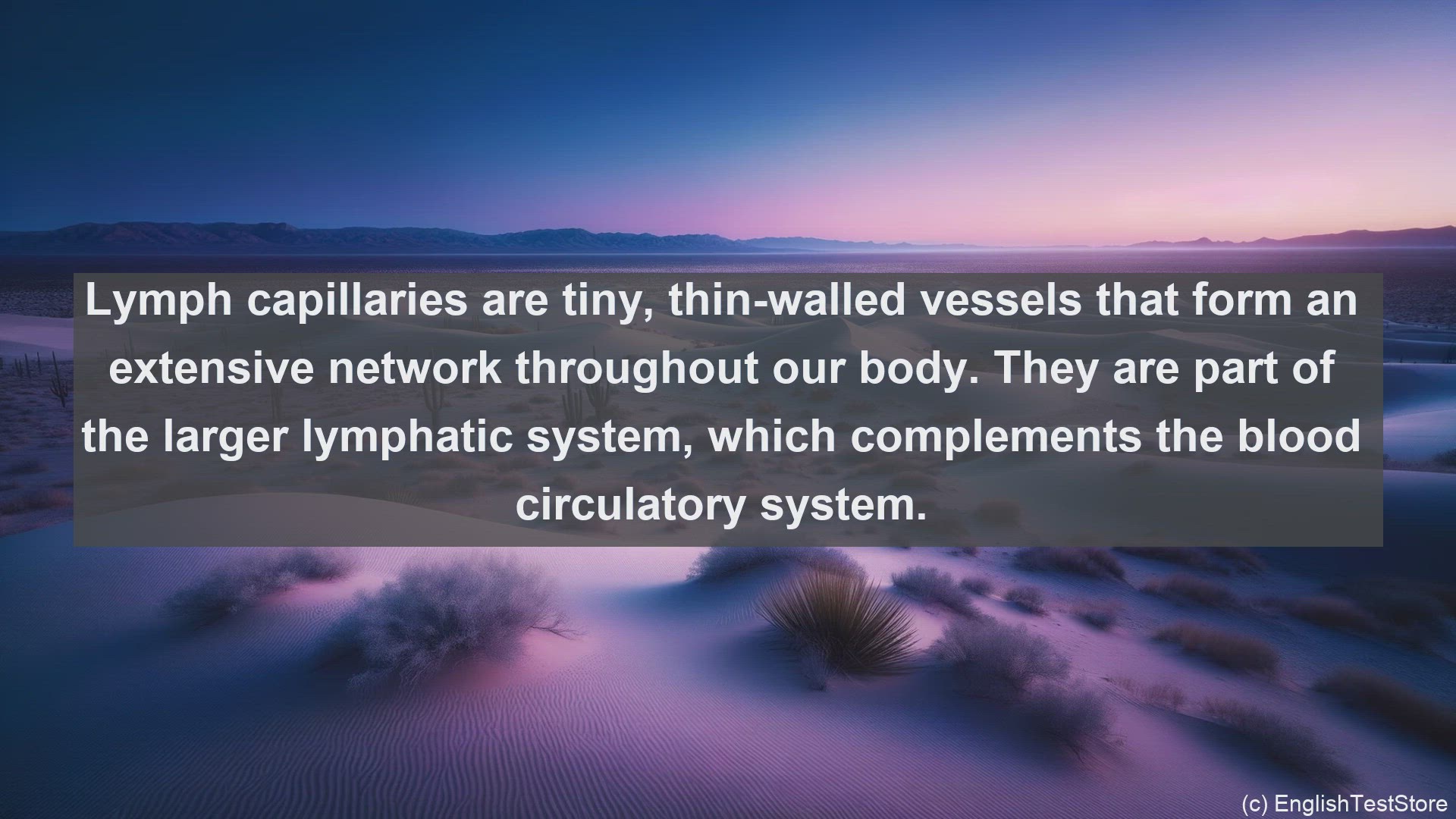 'Video thumbnail for Lymph capillary in science  definition and examples'