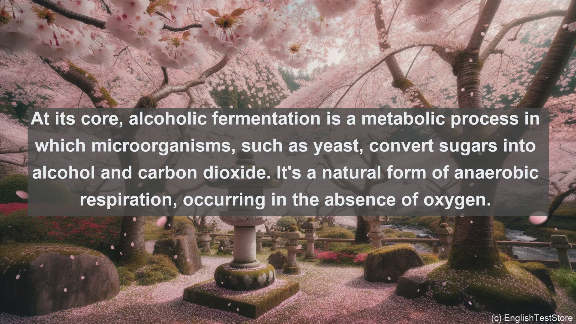 'Video thumbnail for Alcoholic fermentation in science  definition and examples'