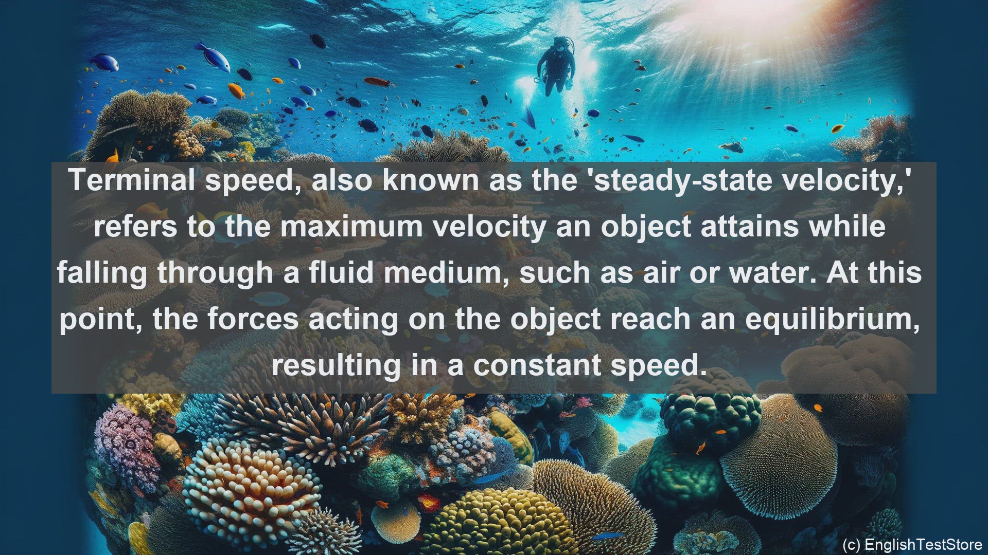 'Video thumbnail for Terminal speed in science  definition and examples'