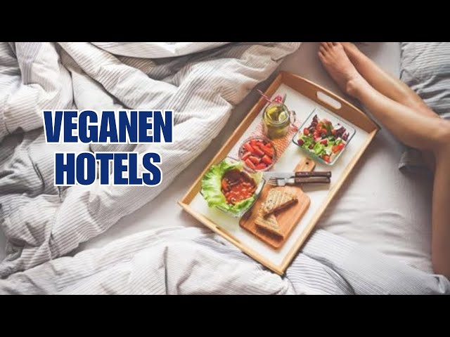 Playlist thumbnail for Die besten veganen Hotels