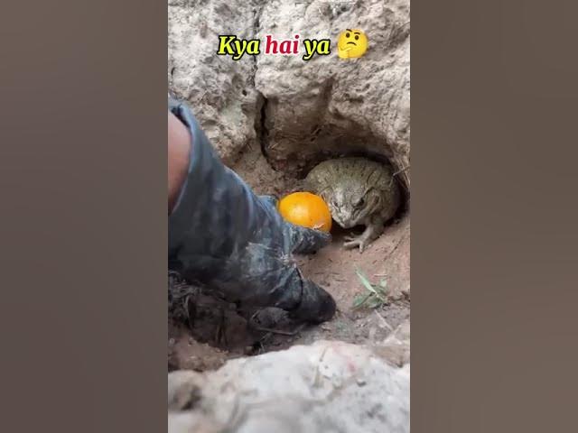 Video thumbnail for kdnfnandbwj💥💥💥👿😈😈💕😥😥