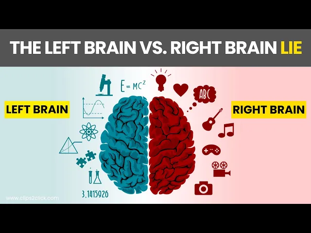 'Video thumbnail for The TRUTH About Left Brain vs. Right Brain - Mind-Blowing Brain Facts'
