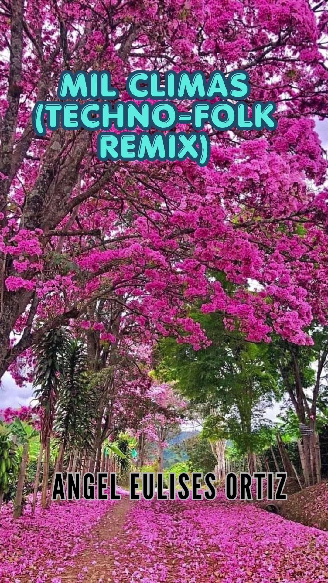 Video thumbnail for Mil Climas (Techno-Folk Remix) El Nuevo Latido de Ibagué y el Tolima- Canción original