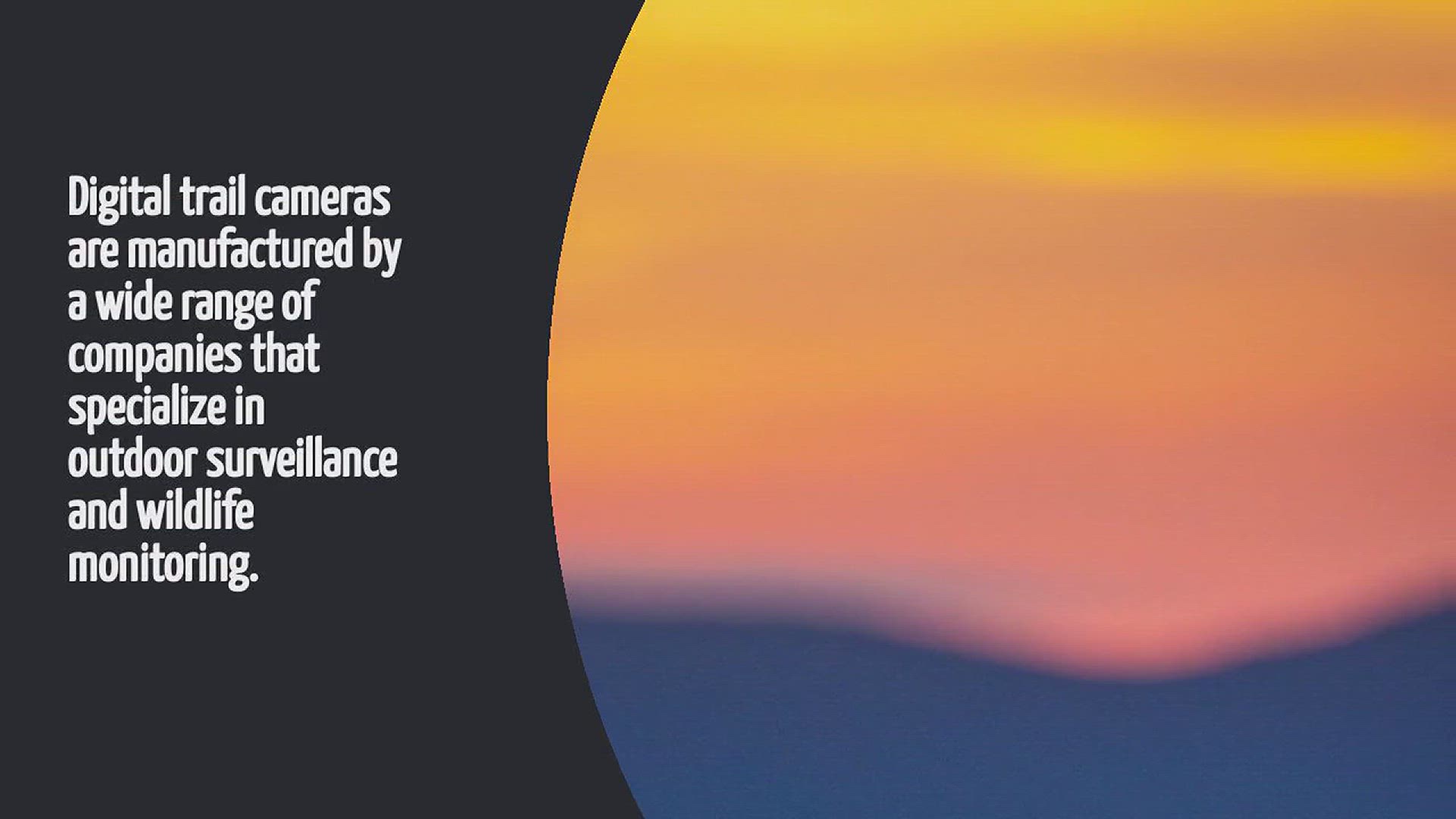 Video thumbnail for Who Makes Digital Trail Camera