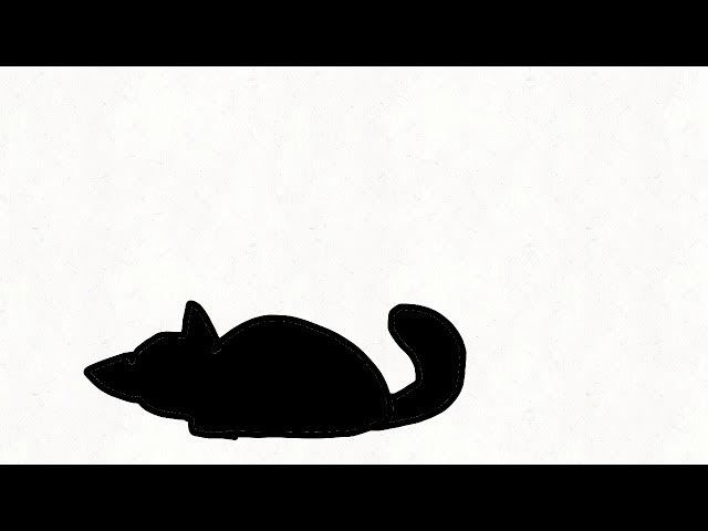 Video thumbnail for Saint Bernard (HEAVY VENT READ DESC)